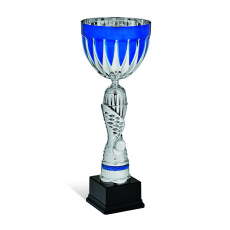 Športový pohár Standart SX0156 FALSOM Športový pohár Standart SX0156 FALSOM