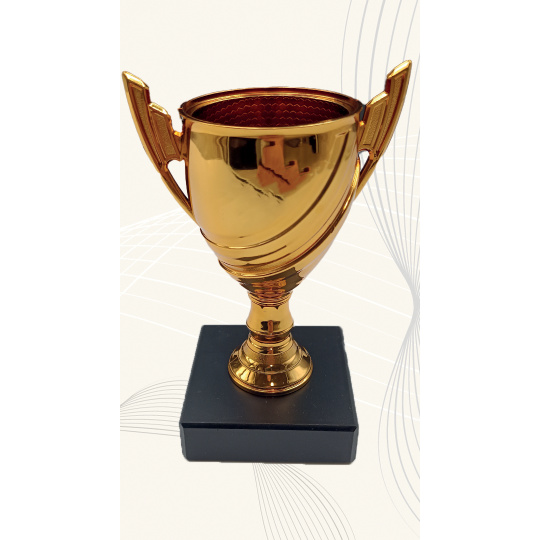 Športový pohár Ekonomy NJSE001 MOHIN bronzový