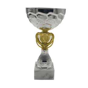 Sportovní pohár NJE096 LEJIZ stříbrno-zlatý Sportovní pohár NJE096 LEJIZ stříbrno-zlatý