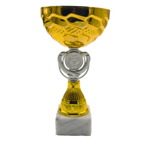 Sportovní pohár NJE106 LEJIS zlato-stříbný Sportovní pohár NJE106 LEJIS zlato-stříbný