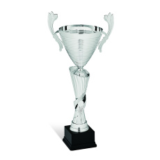 Sportovní pohár Standart SX3105 Scoti Sportovní pohár Standart SX3105 Scoti