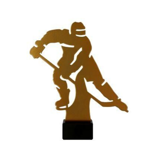 Kovová trofej Hokej
