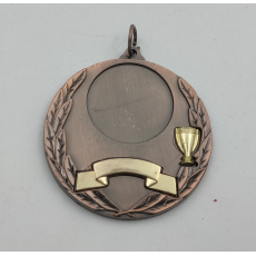 Medaile 50 mm TROF, bronzová